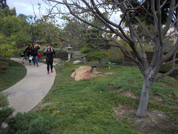 Walking slowly along the pathway through the upper level of the Japanese Friendship Garden. Scenes open as corners are turned; every visit is a personal journey of discovery.